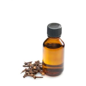Clovestem Oil 100ml