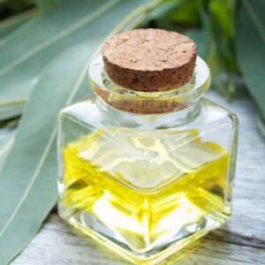 Eucalyptus Oil 60ml