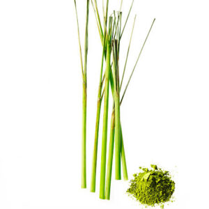 Lemon Grass 100g