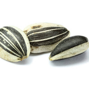 Sunflower Seeds 200g