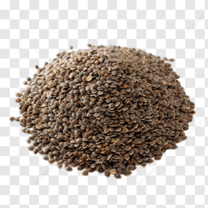 Dill Seeds 100g
