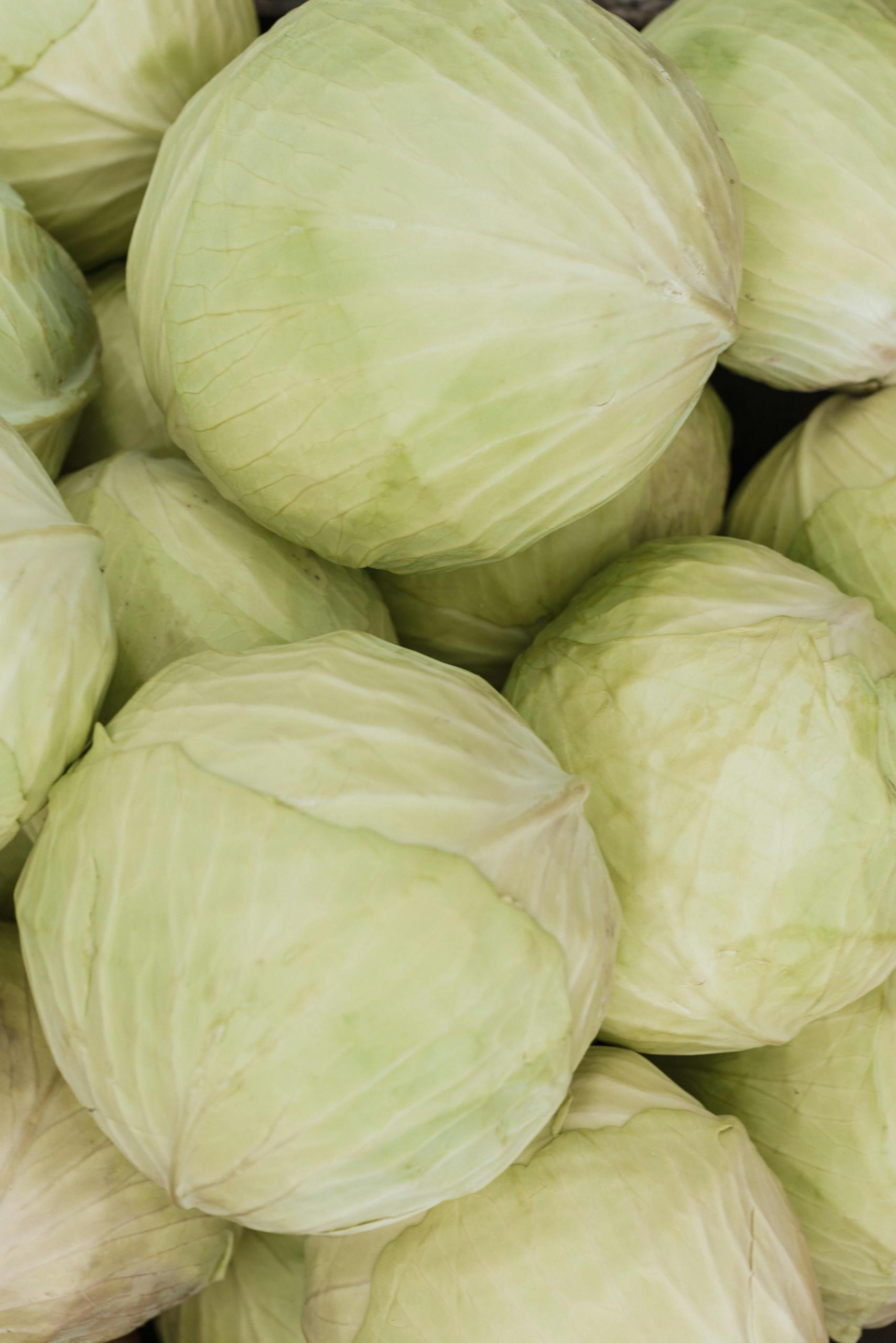 A close-up of fresh, organic cabbages in a pile, perfect for healthy meals.