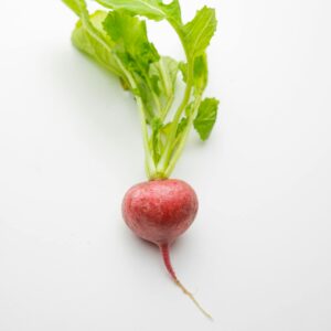 Radish – Peppery & Crisp