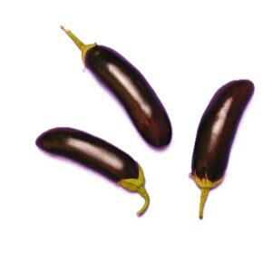Eggplants (Aubergine)