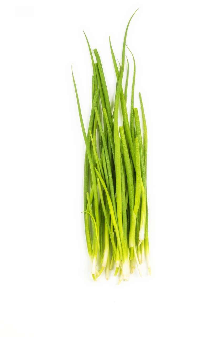 chives, leaves, vegetable, herbs, allium, bundle, produce, nature, food, green onion, raw, ingredient, closeup