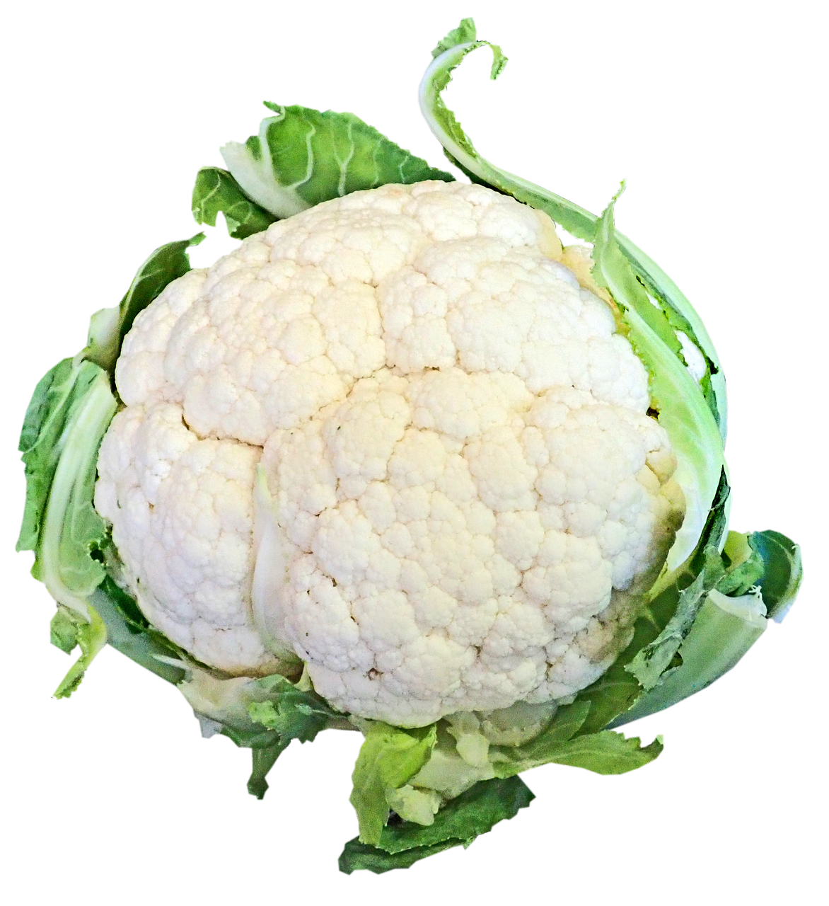 cauliflower, vegetable, healthy, food, cooking, vegetarian, cut out, isolated, plant, garden, cauliflower, cauliflower, cauliflower, cauliflower, cauliflower