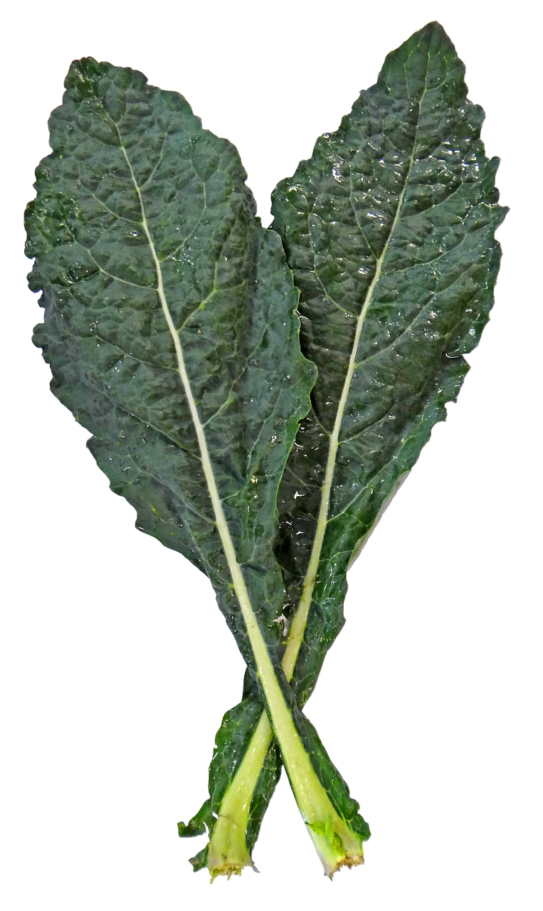 kale, lacinato, lacinato kale, dino kale, black kale, veg, vegetable, kale, kale, kale, kale, kale