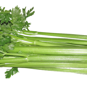 celery, vegetable, food, vegetarian, cooking, healthy, diet, cut out, isolated, celery, celery, celery, celery, celery